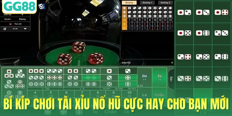 Bí kíp chơi tài xỉu nổ hũ cực hay cho bạn mới