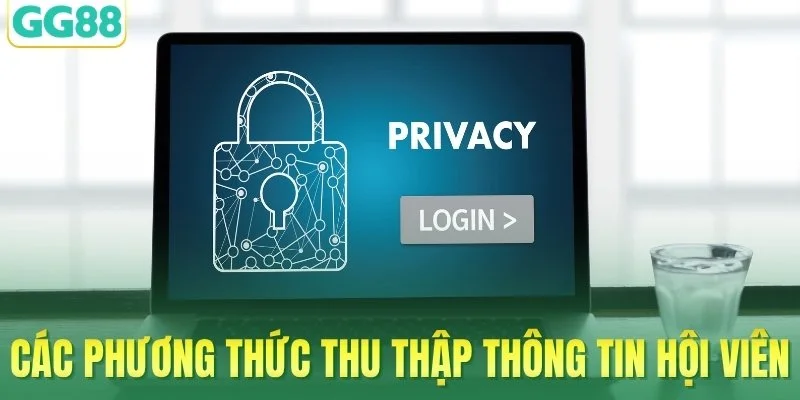 Các phương thức thu thập thông tin hội viên